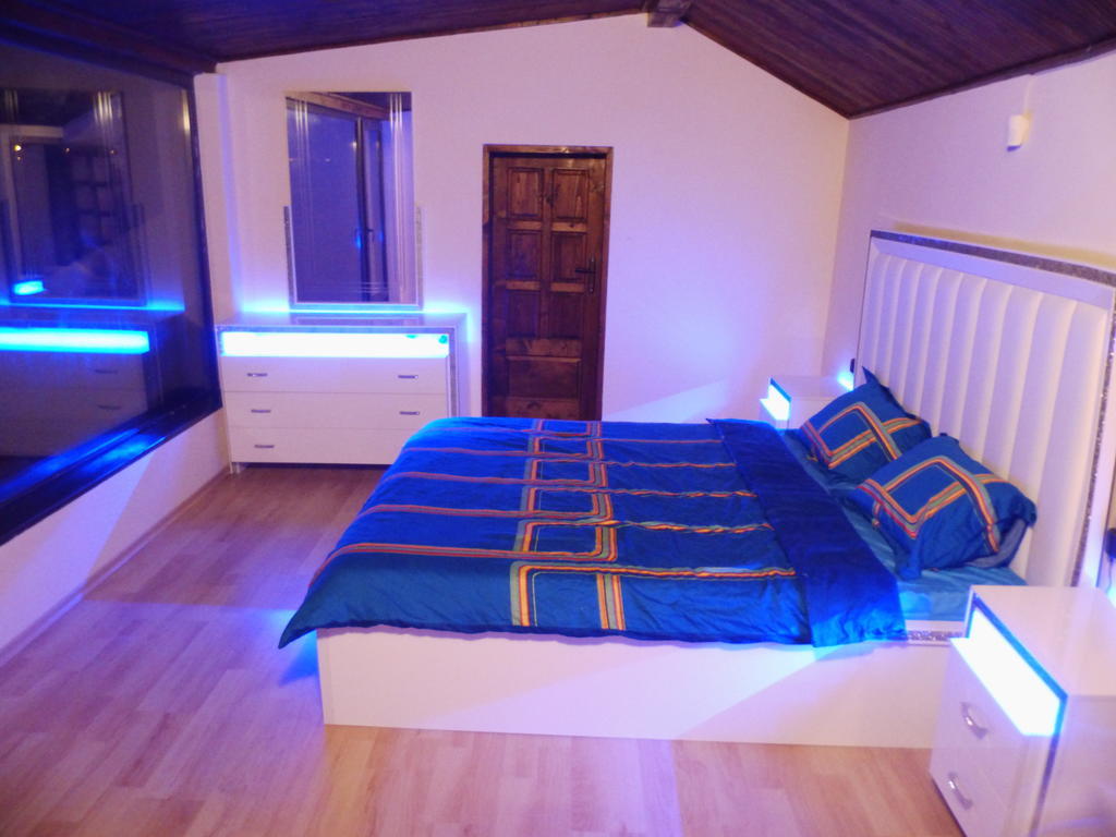 Villa Topola Habitación foto