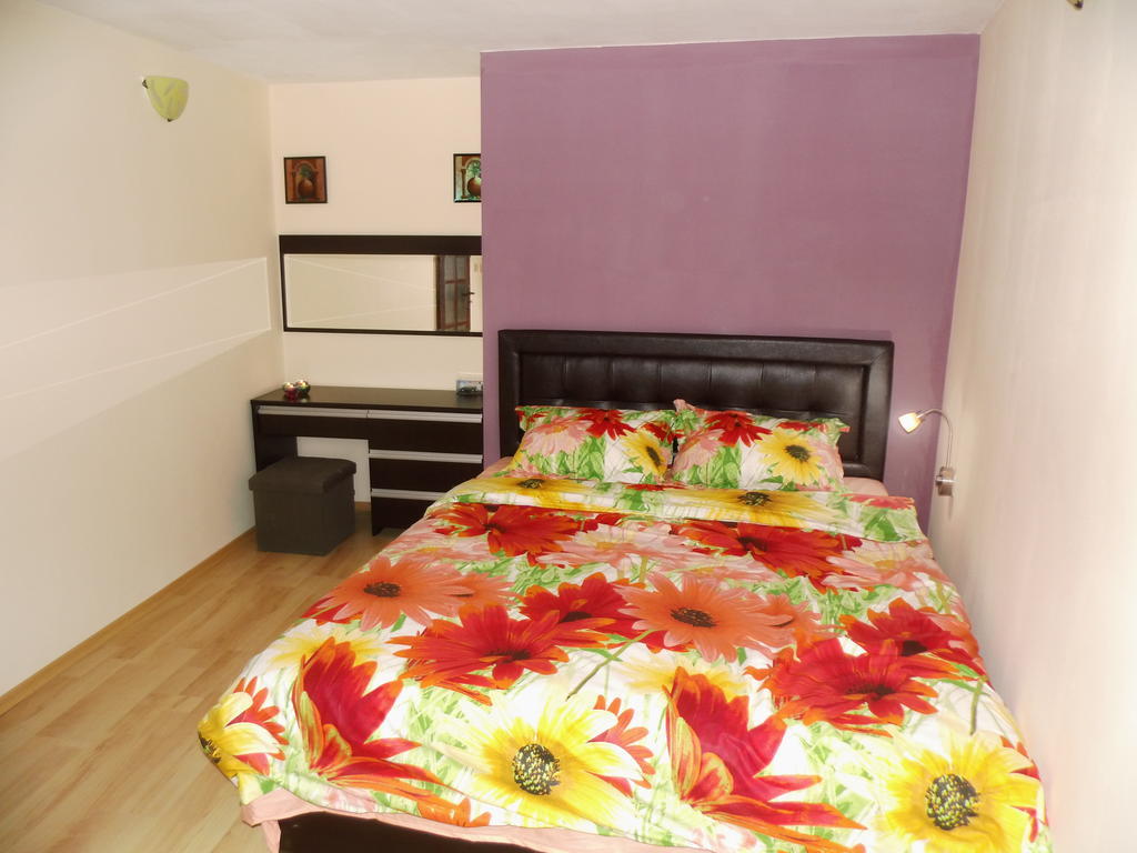 Villa Topola Habitación foto